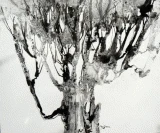 (9/15): The tree 2002 monotype (2)
